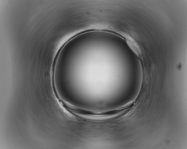 X0000090611343200707241058