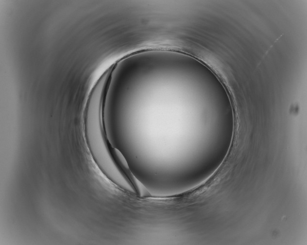 X0000090611344200707241058