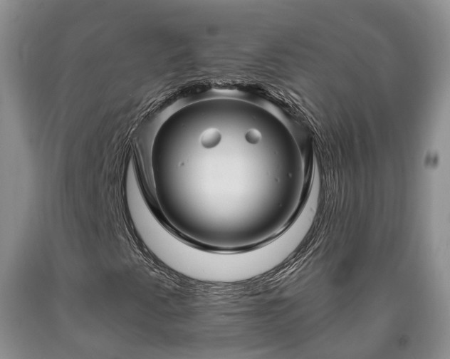 X0000090611345200707241057