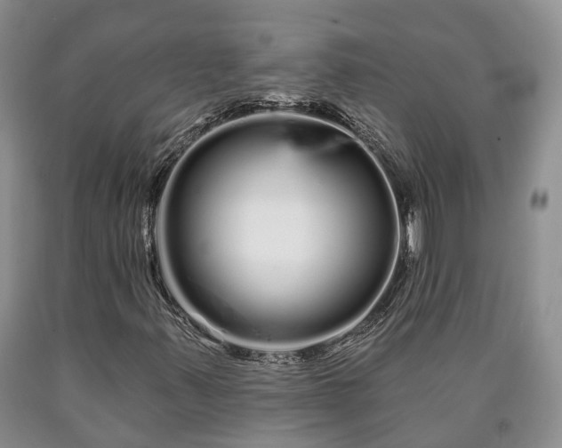 X0000090611347200707241057