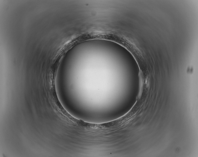 X0000090611348200707241057