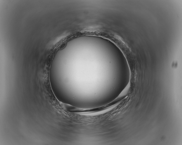 X0000090611350200707241057