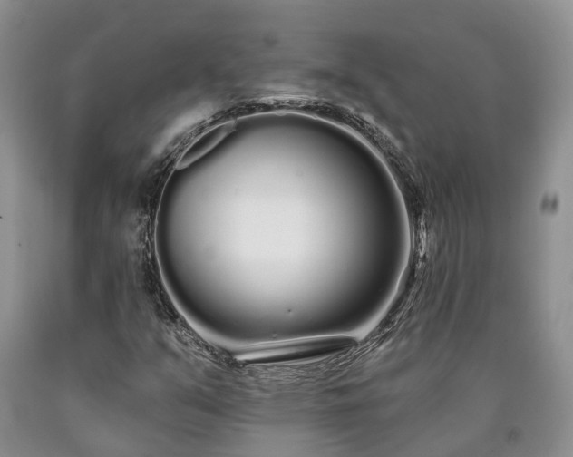 X0000090611351200707241057