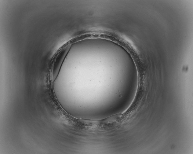 X0000090611352200707241057