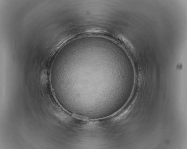 X0000090611353200707241057