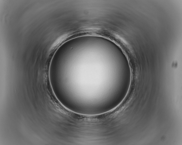 X0000090611354200707241057