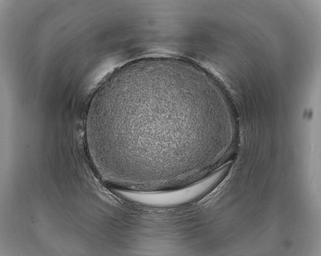 X0000090611355200707241057