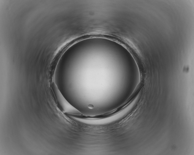 X0000090611356200707241057