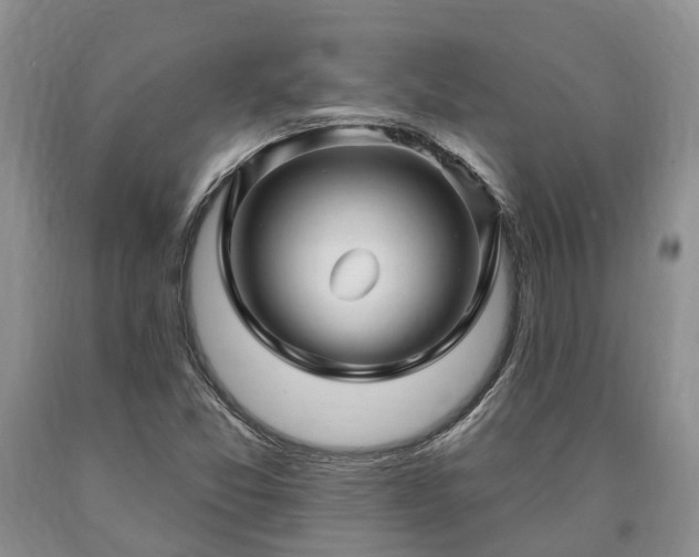 X0000090611357200707241057