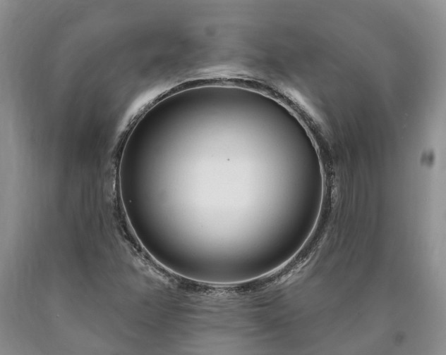 X0000090611358200707241057