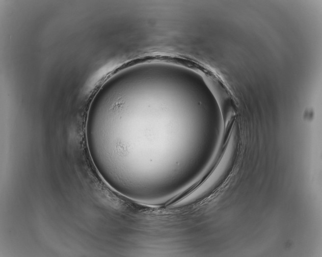 X0000090611359200707241057