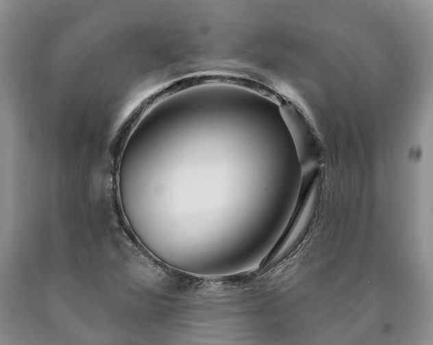 X0000090611360200707241057