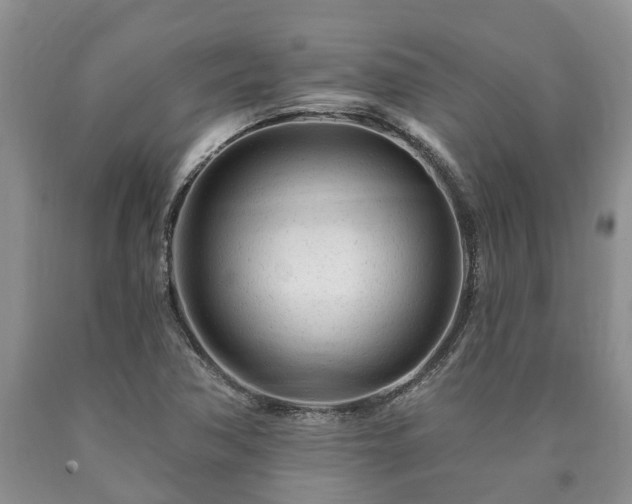 X0000090611362200707241057