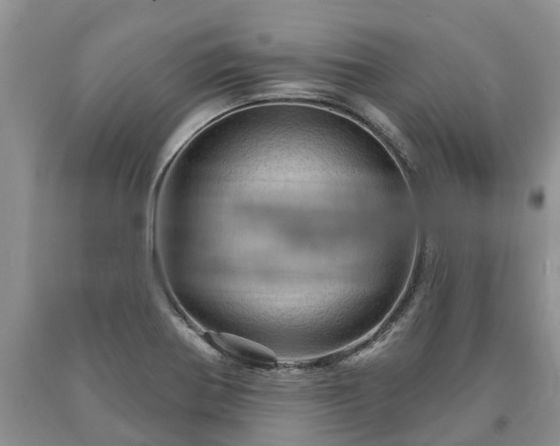 X0000090611370200707241057