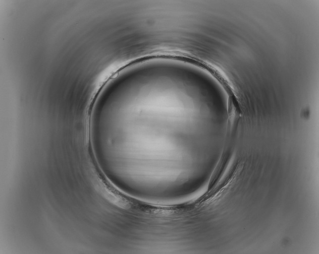 X0000090611371200707241057