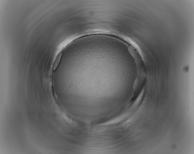 X0000090611373200707241057