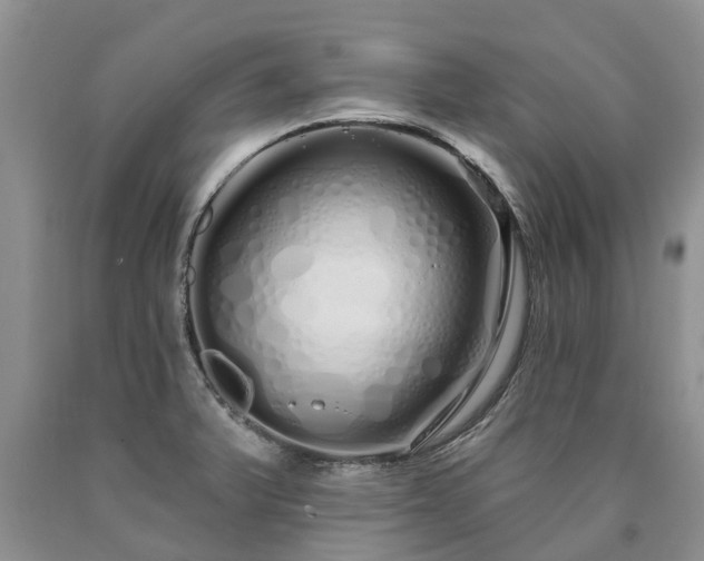 X0000090611375200707241057