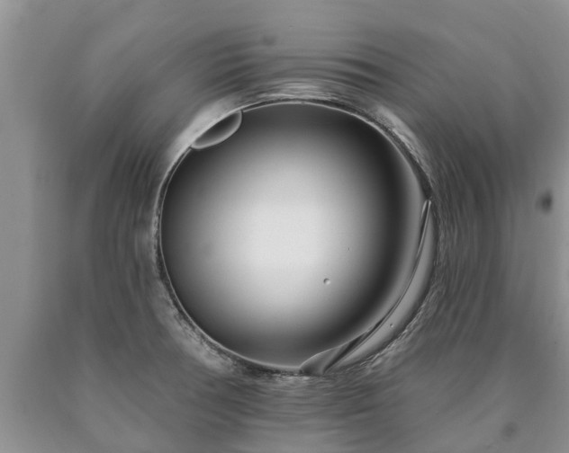 X0000090611378200707241057