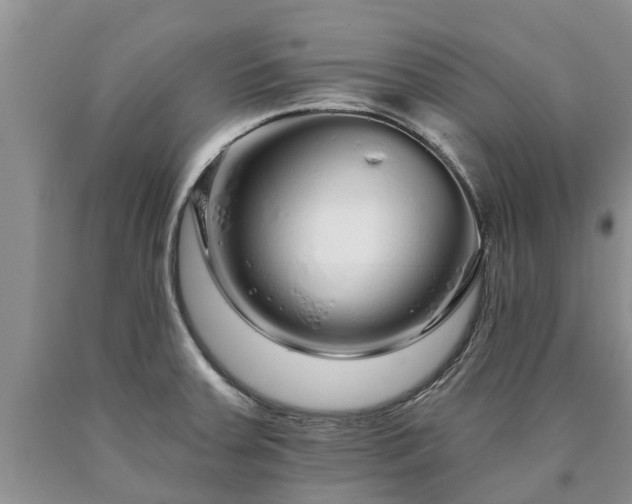 X0000090611379200707241057