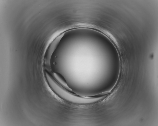 X0000090611381200707241057