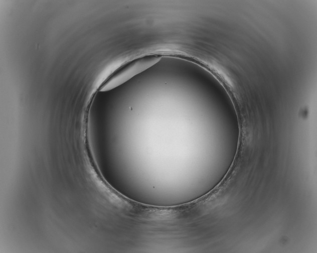 X0000090611382200707241057