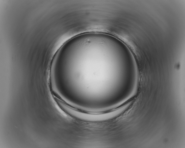 X0000090611383200707241057