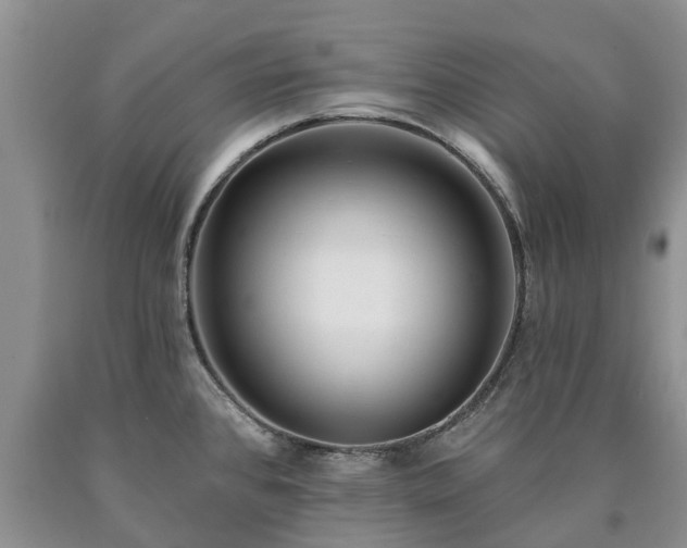 X0000090611384200707241057