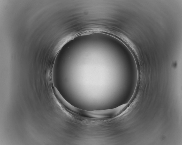 X0000090611385200707241057