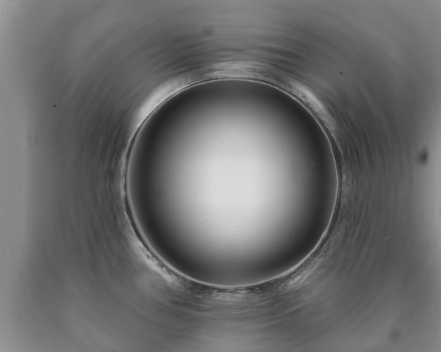 X0000090611386200707241057