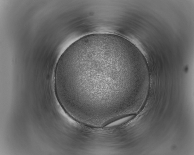 X0000090611387200707241057