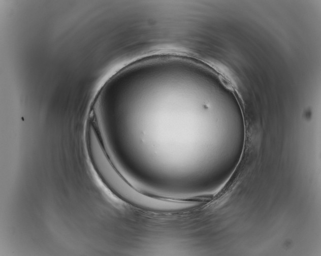 X0000090611391200707241057