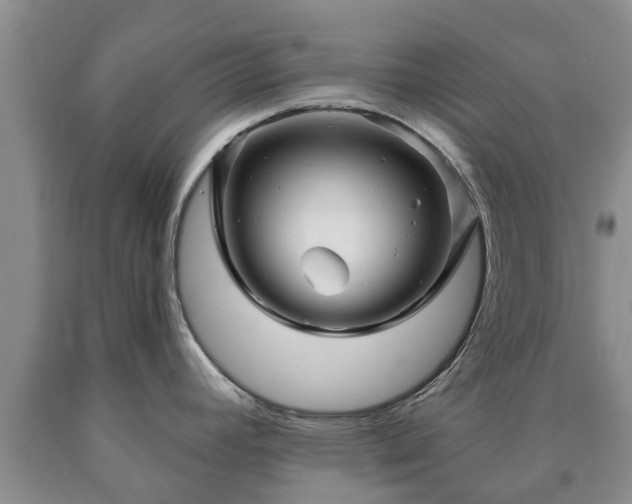 X0000090611392200707241057