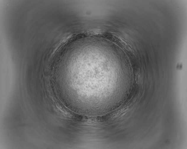 X0000090611393200707241056