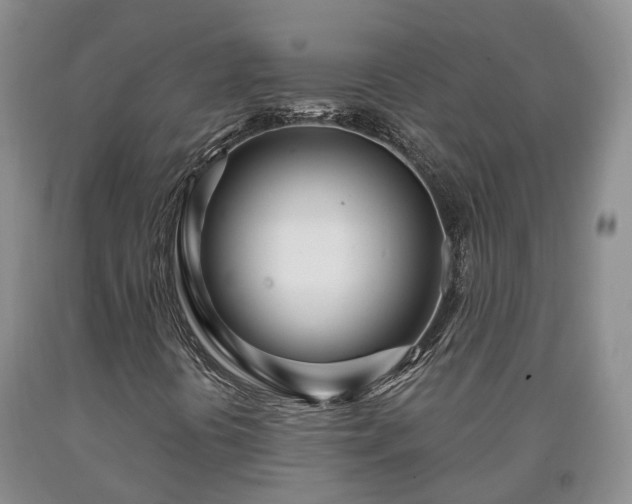 X0000090611394200707241056