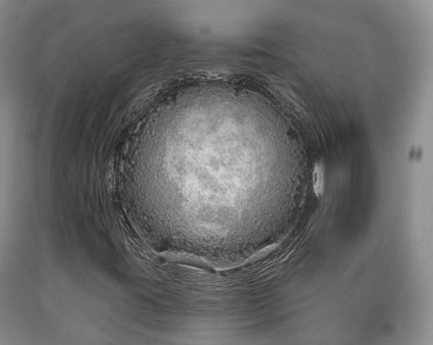 X0000090611395200707241056