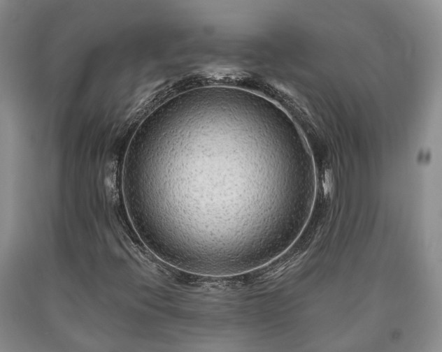 X0000090611396200707241056