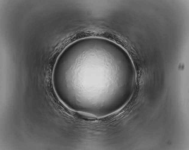 X0000090611397200707241056