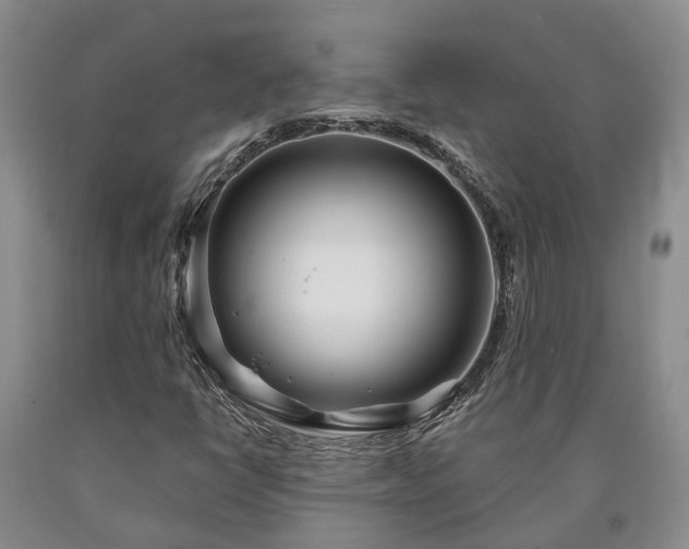 X0000090611398200707241056