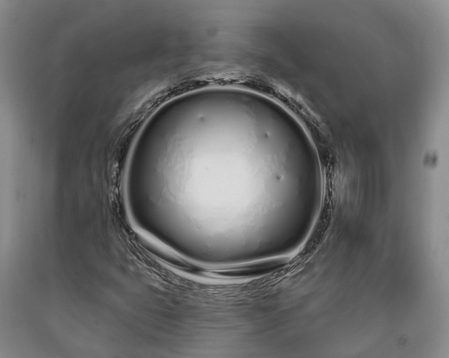 X0000090611399200707241056