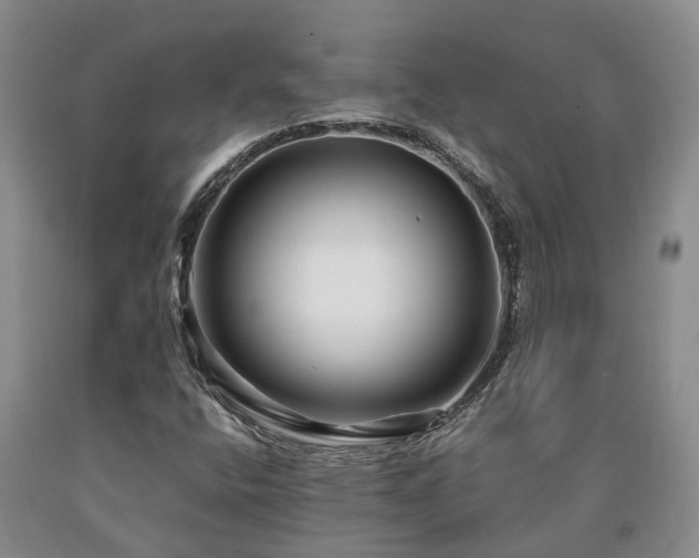 X0000090611400200707241056