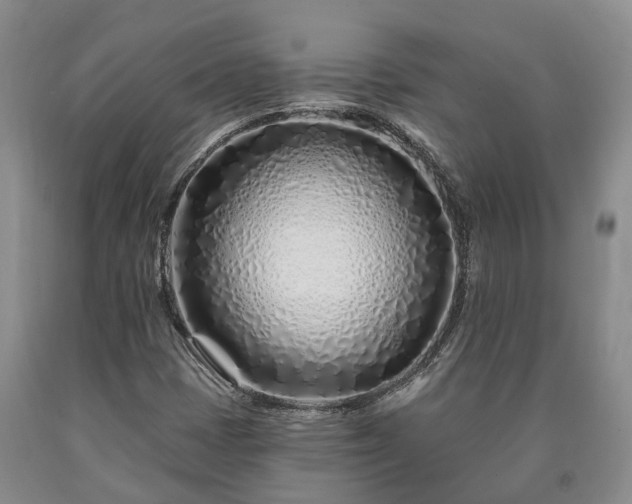 X0000090611401200707241056