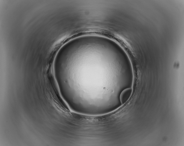 X0000090611403200707241056