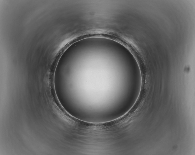 X0000090611404200707241056