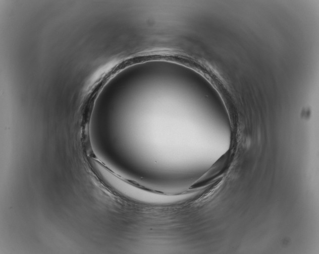 X0000090611406200707241056