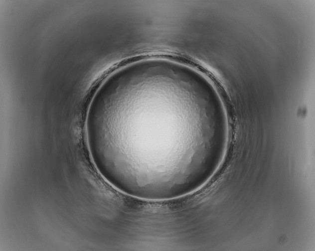 X0000090611407200707241056