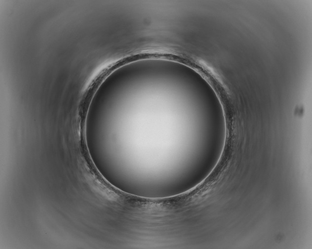 X0000090611408200707241056