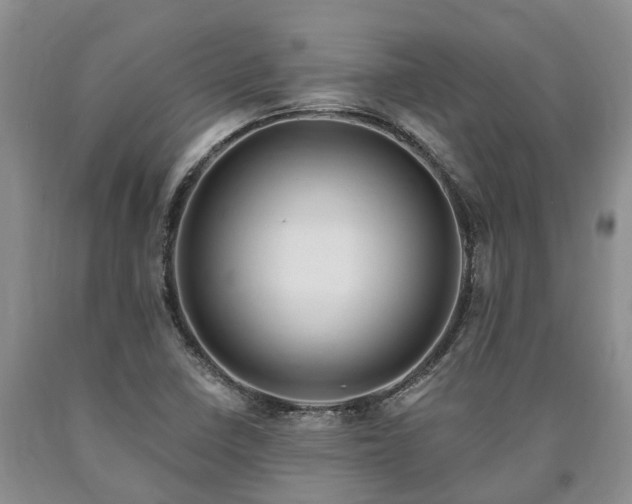 X0000090611410200707241056