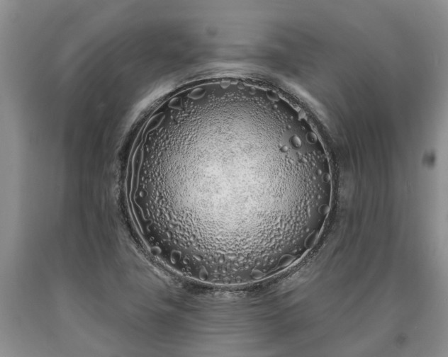 X0000090611411200707241056