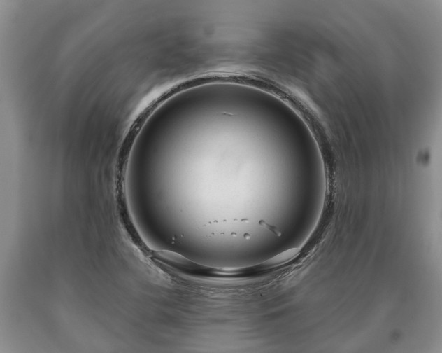 X0000090611412200707241056