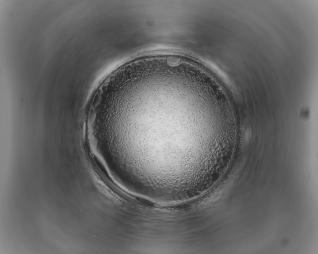 X0000090611413200707241056